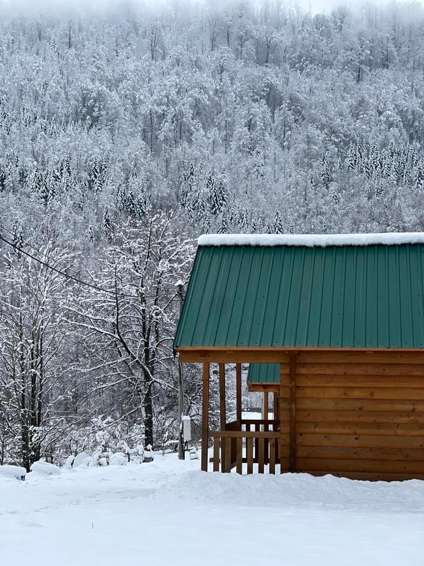 Matesevo Guest Hauses Villa Kolasin Exterior photo